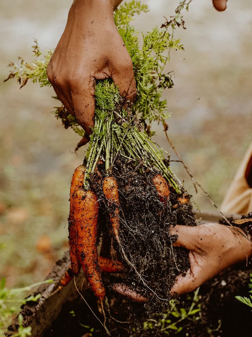 Greypoint Studio